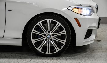 2015 BMW M 235i full