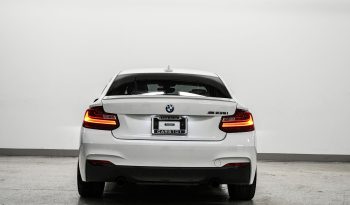 2015 BMW M 235i full