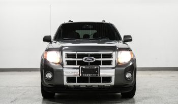 2010 Ford Escape full