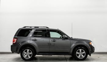 2010 Ford Escape full