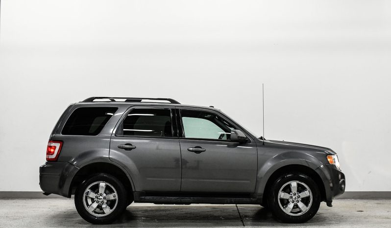 2010 Ford Escape full