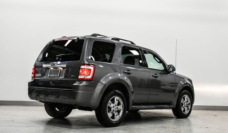 2010 Ford Escape full