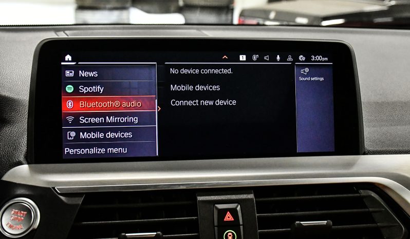 2021 BMW X3 full