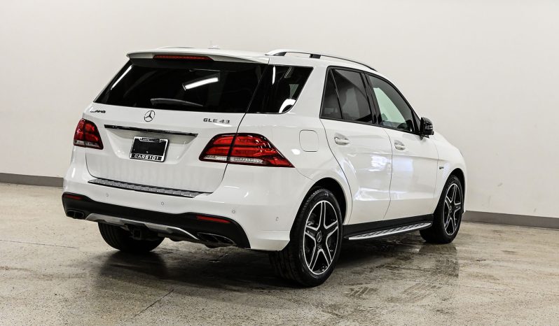 2018 Mercedes-Benz GLE 43 AMG full