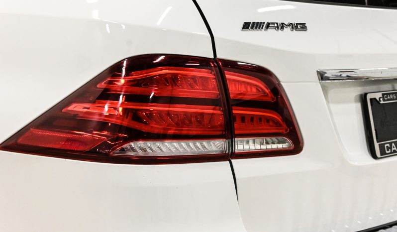 2018 Mercedes-Benz GLE 43 AMG full