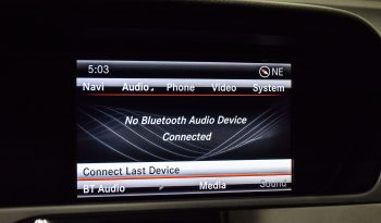2013 Mercedes-Benz C350 full