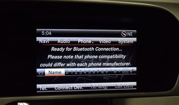 2013 Mercedes-Benz C350 full