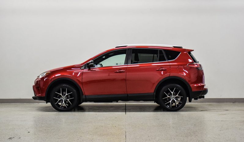2016 Toyota RAV4 SE full