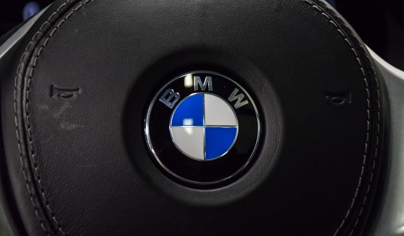 2019 BMW X5 full