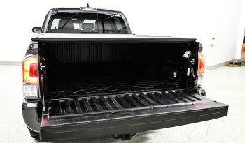 2020 Toyota Tacoma Double Cab full