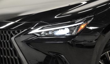 2022 Lexus NX 250 full