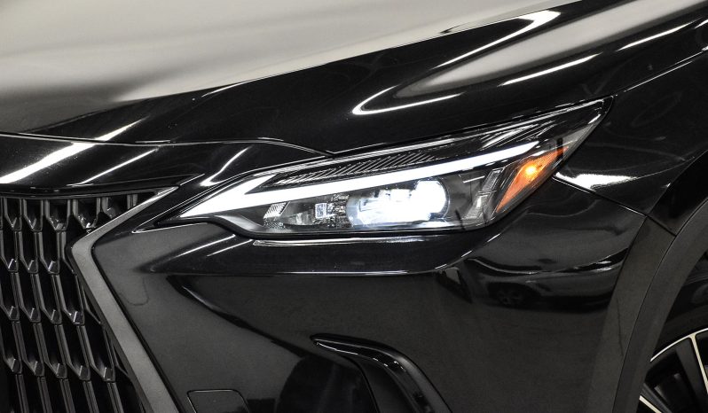2022 Lexus NX 250 full
