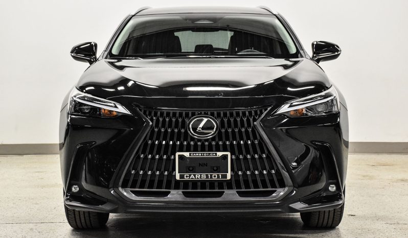 2022 Lexus NX 250 full
