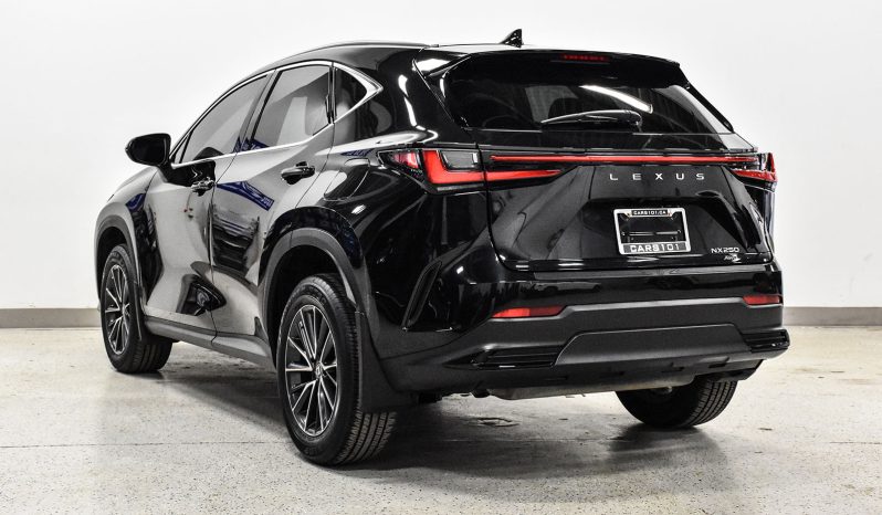 2022 Lexus NX 250 full