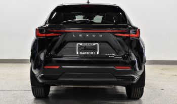 2022 Lexus NX 250 full
