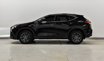 2022 Lexus NX 250 full