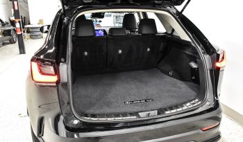 2022 Lexus NX 250 full