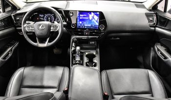 2022 Lexus NX 250 full