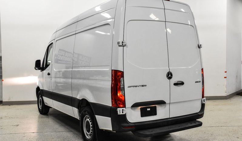 2019 Mercedes-Benz Sprinter 2500 full