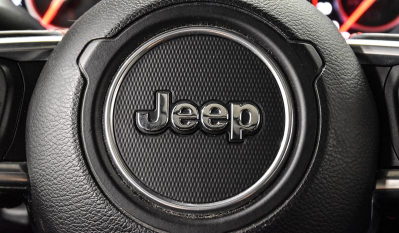 2019 Jeep Wrangler Rubicon full