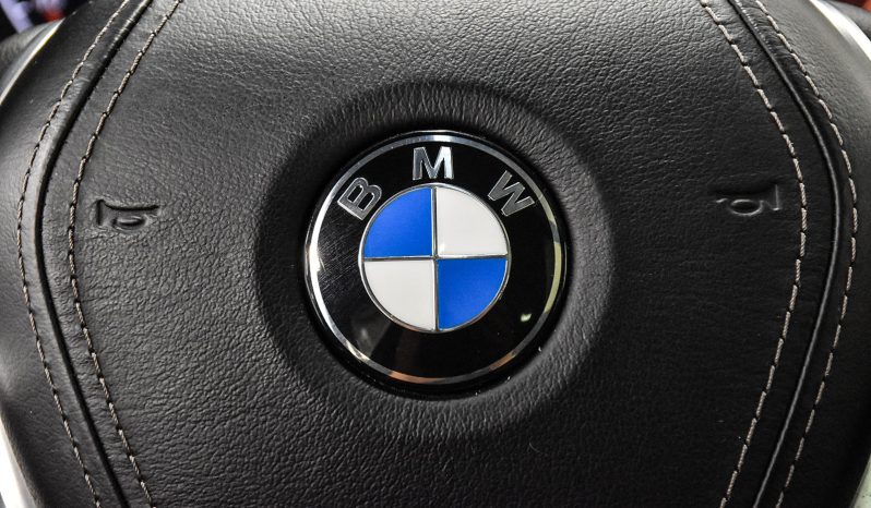 2019 BMW X5 full