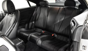2019 Mercedes-Benz E 450 full