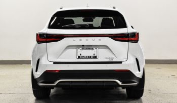 2022 Lexus NX350 AWD full