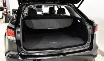 2020 Lexus RX350 full