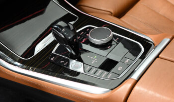 2019 BMW X5 full