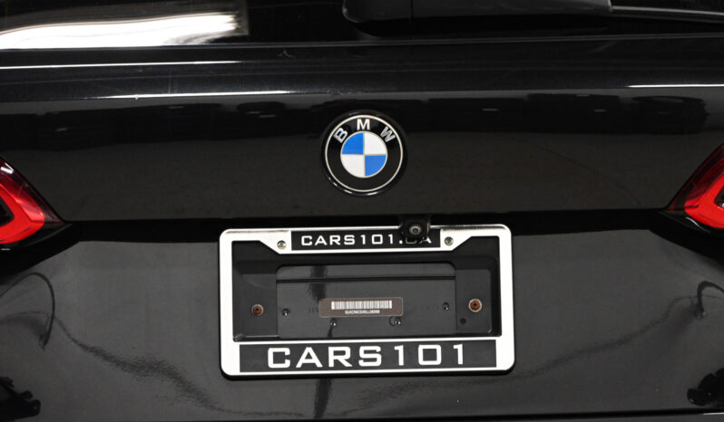 2019 BMW X5 full