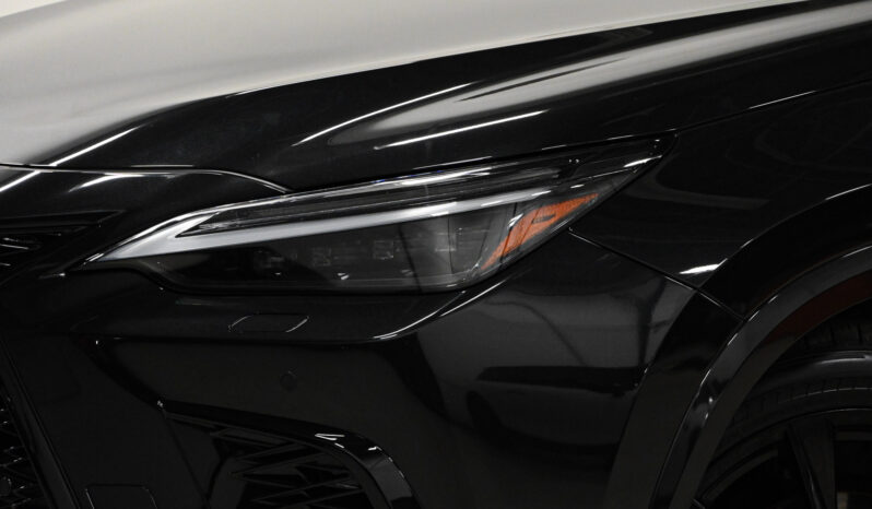 2022 Lexus NX 350 full