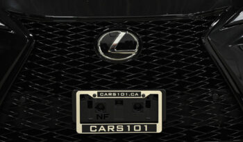 2022 Lexus NX 350 full