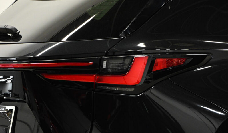 2022 Lexus NX 350 full