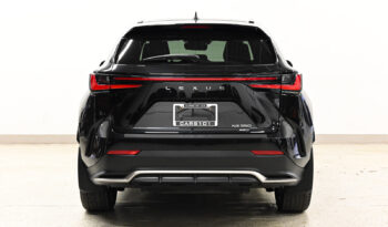 2022 Lexus NX 350 full