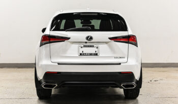 2018 Lexus NX 300 full